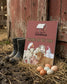 Fall Bundle