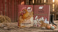 Fall Bundle